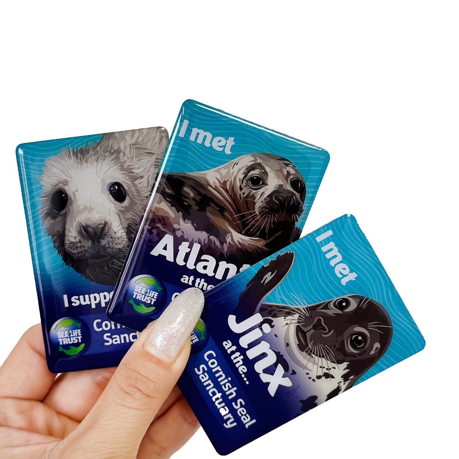Custom metal fridge magnets cover image